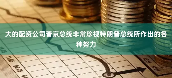 大的配资公司普京总统非常珍视特朗普总统所作出的各种努力