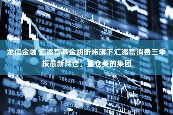 龙信金融 汇添富基金胡昕炜旗下汇添富消费三季报最新持仓，重仓美的集团