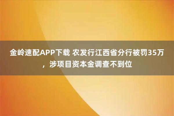 金岭速配APP下载 农发行江西省分行被罚35万，涉项目资本金调查不到位